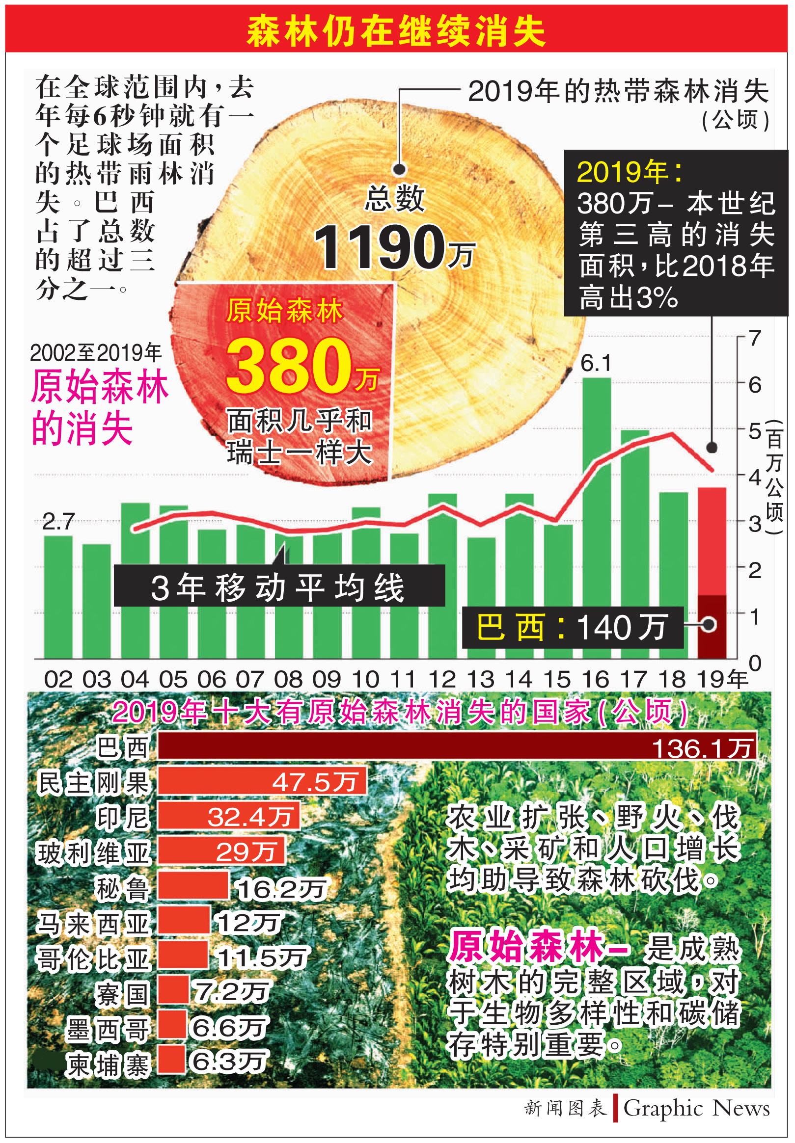 1月不見829平方公裏 巴西毀雨林速度驚人