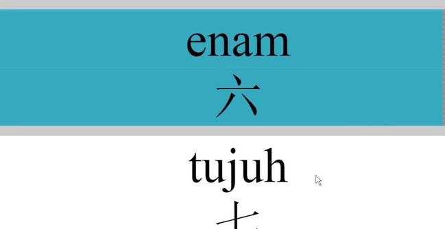 中国人“指点”我的马来文/林谨仕