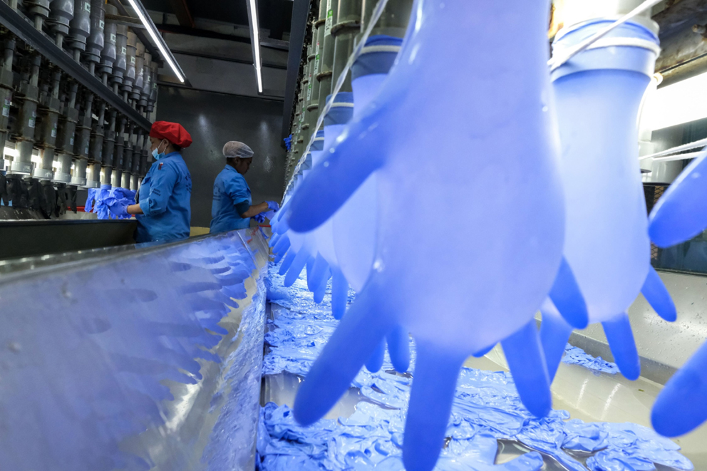 橡胶手套出口需求大 年杪料增20%至2300亿
