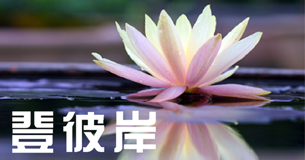 人生真是苦的嗎?如果無我,誰在受苦?/譚文信
