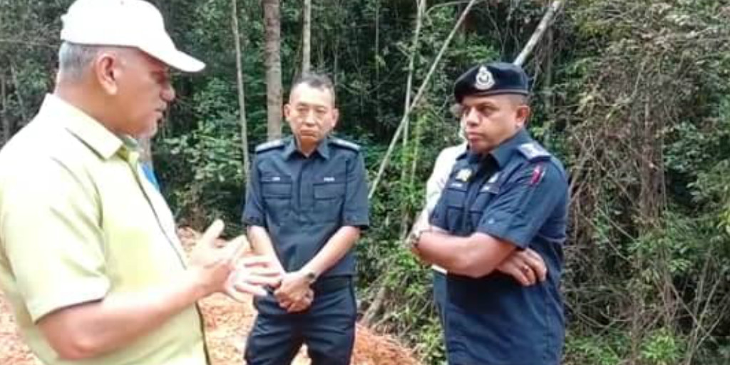 接非法伐木投報 柔總警長視察加亨冷高森林