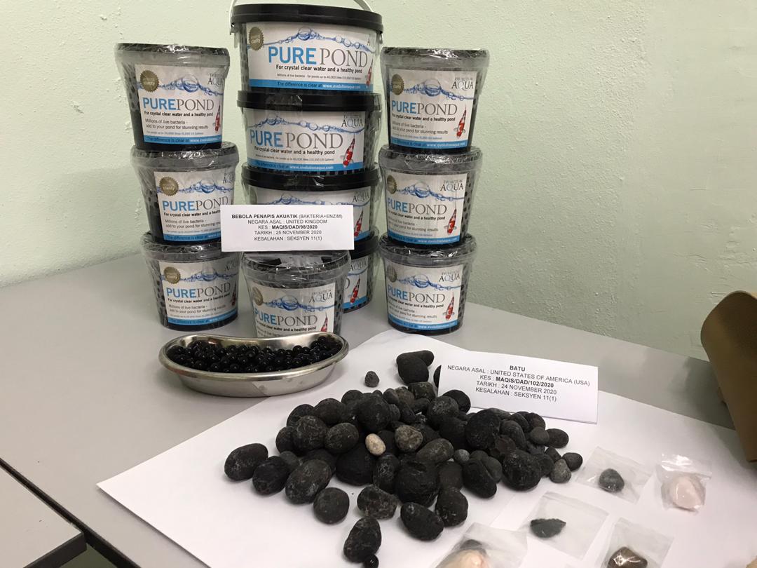 网购石头动物皮没进口证 检疫局充公6974元违例品