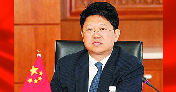 中驻马前大使白天 履新外交部司长职