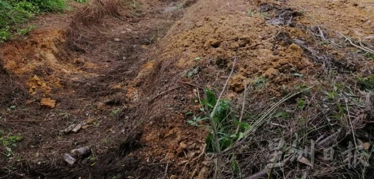 废置农地逾10.3万公顷 助地主涉养殖种植业