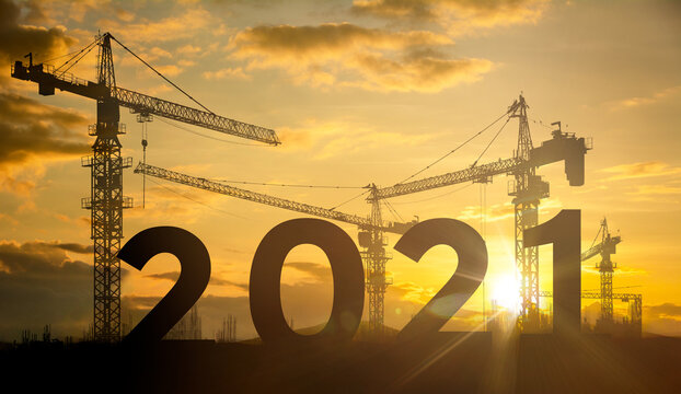 各有各忙的2021年/王介英