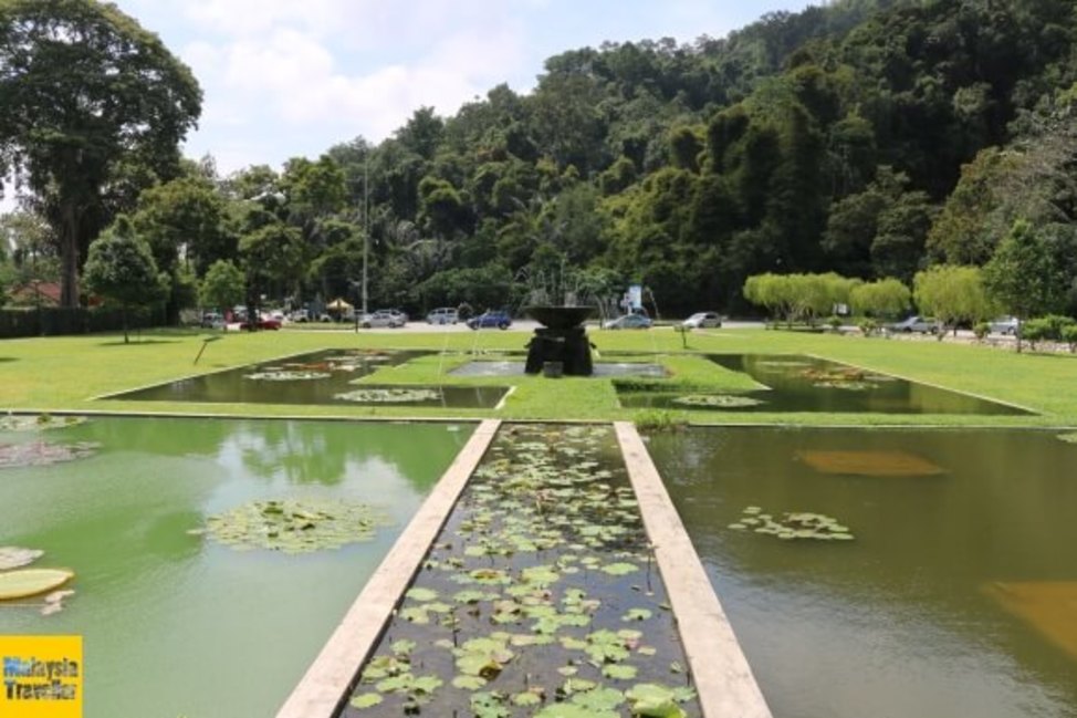 山达拉祖:维护成本高 槟植物园探讨征入园费