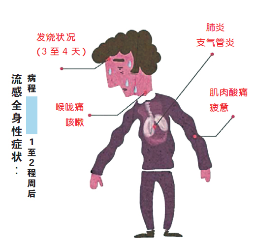 傳染病中“它”最強 別隻當作普通感冒
