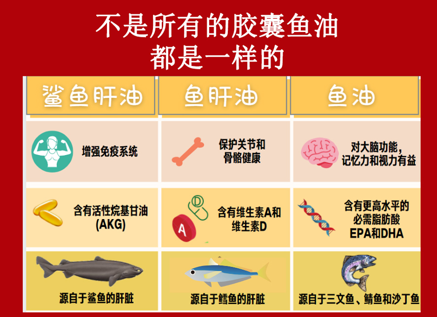 鯊魚肝油：最佳營養輔助品