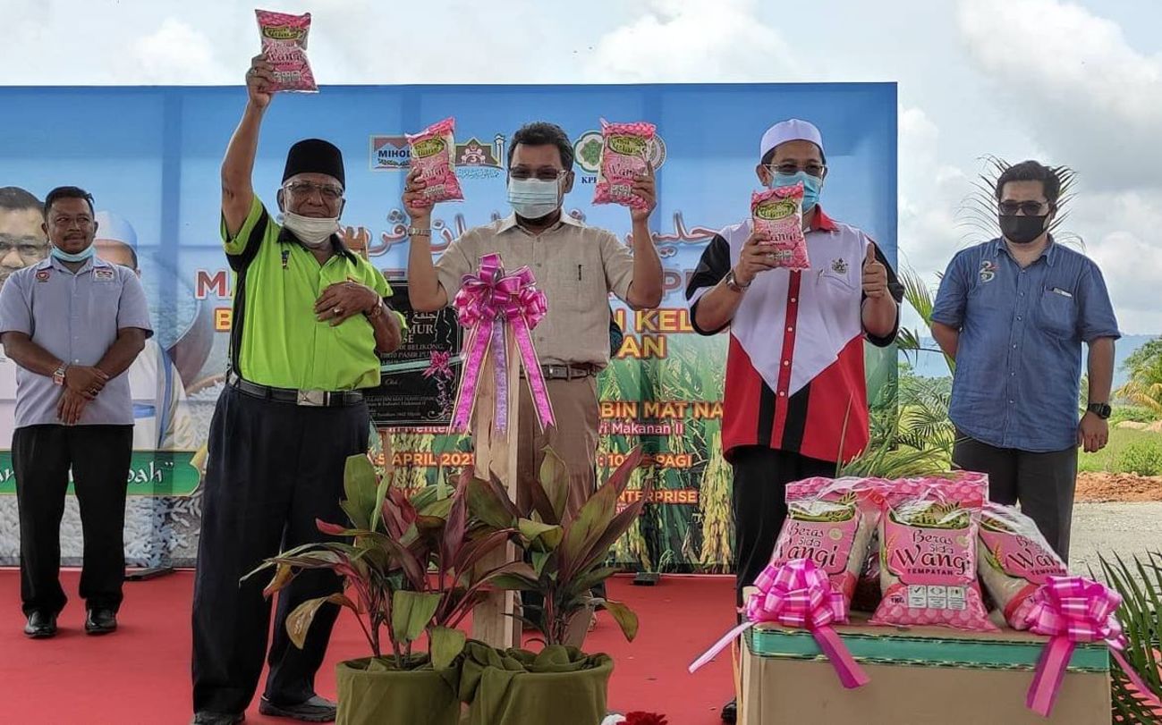 仄阿都拉:新品种产量高 本地香米媲美泰国