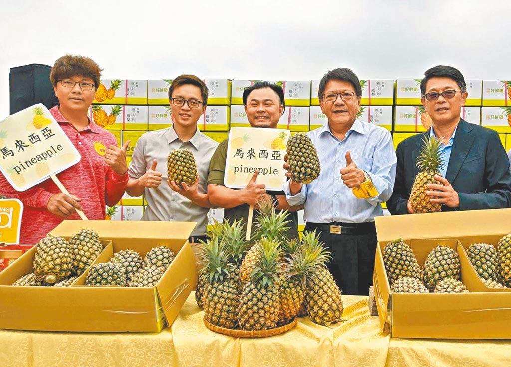 去冠防黴 屏東鳳梨首銷大馬