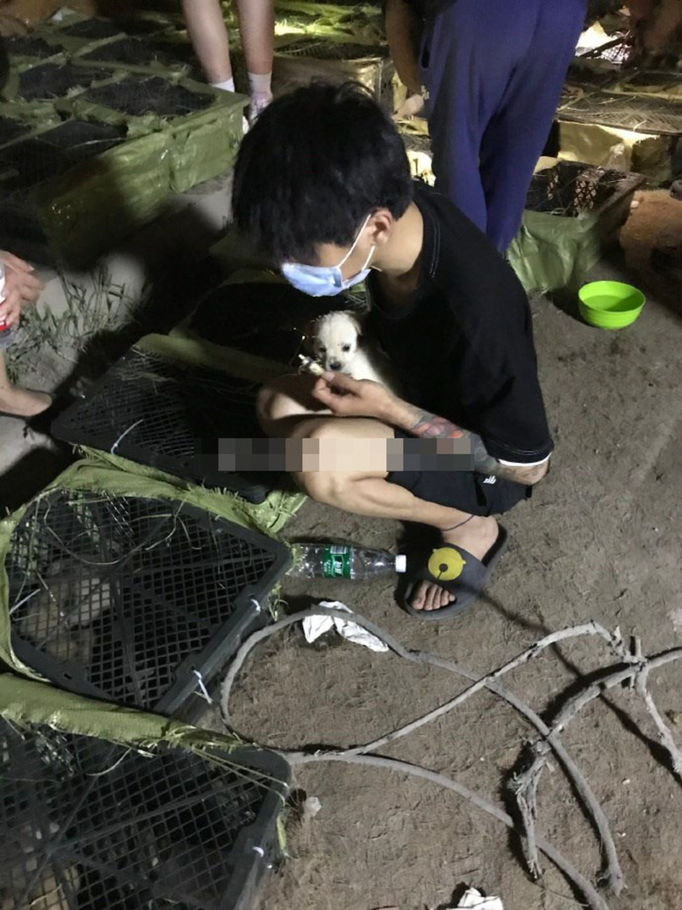宠物盲盒猫狗暴毙 中官媒批背离人性