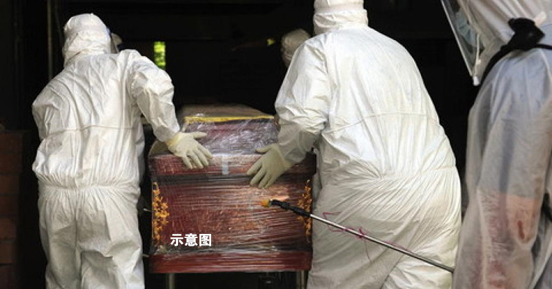 【卫生总监3】260人染疫死