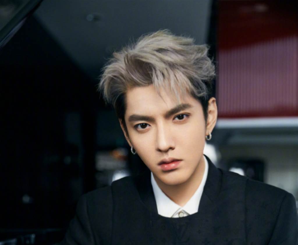 吴亦凡,劣迹艺人,