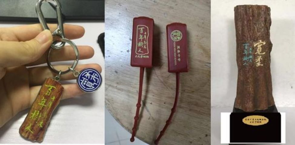 寬中至達城分校  14日辦校慶線上慶典