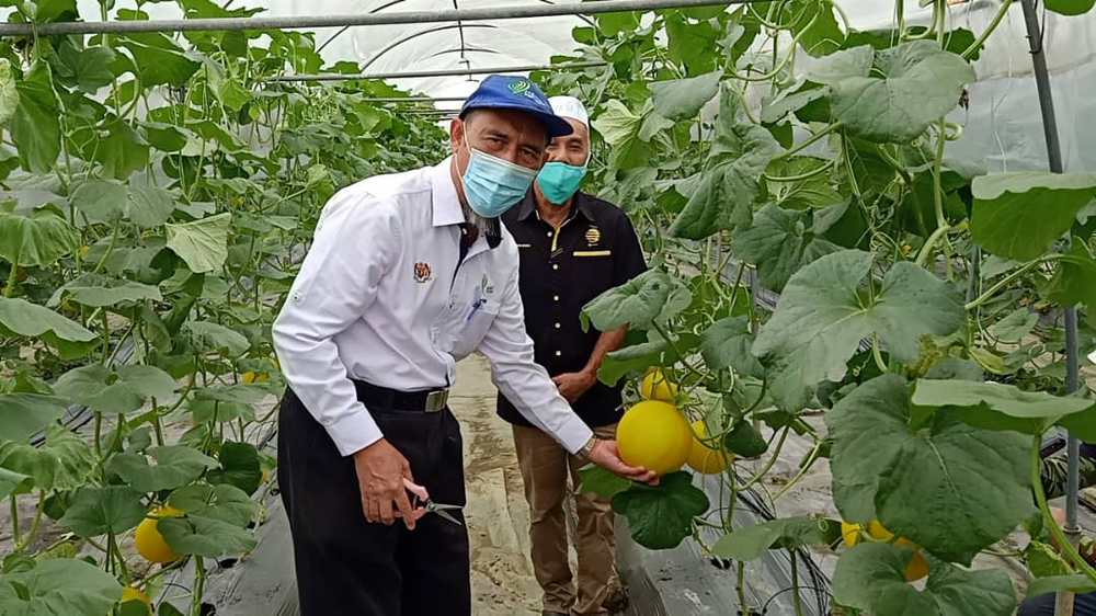 农业局总监拿督莫哈末纳西尔
