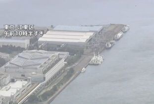 东京湾发现浮尸 疑是残奥会保安