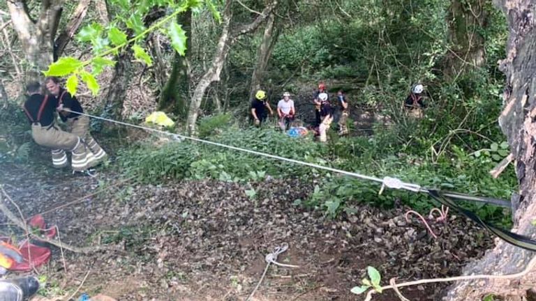 英八旬妇坠深坑 爱猫狂叫成功求救
