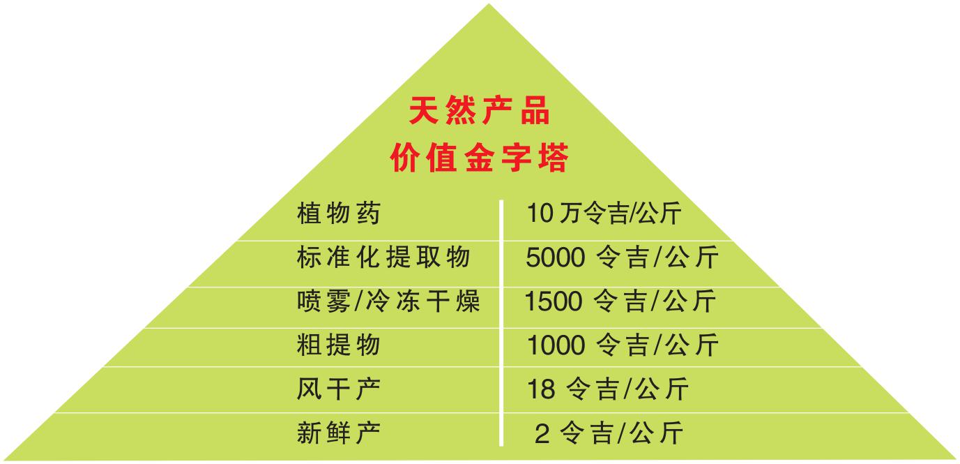 植物 图表3