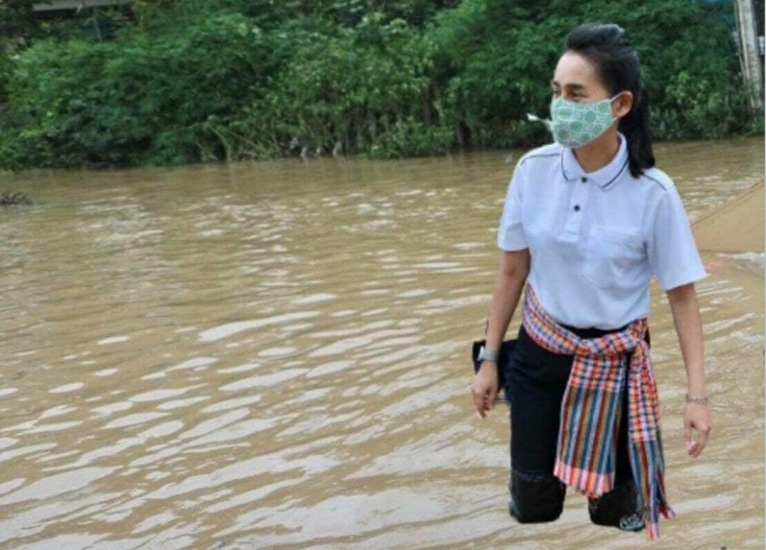 勘灾照