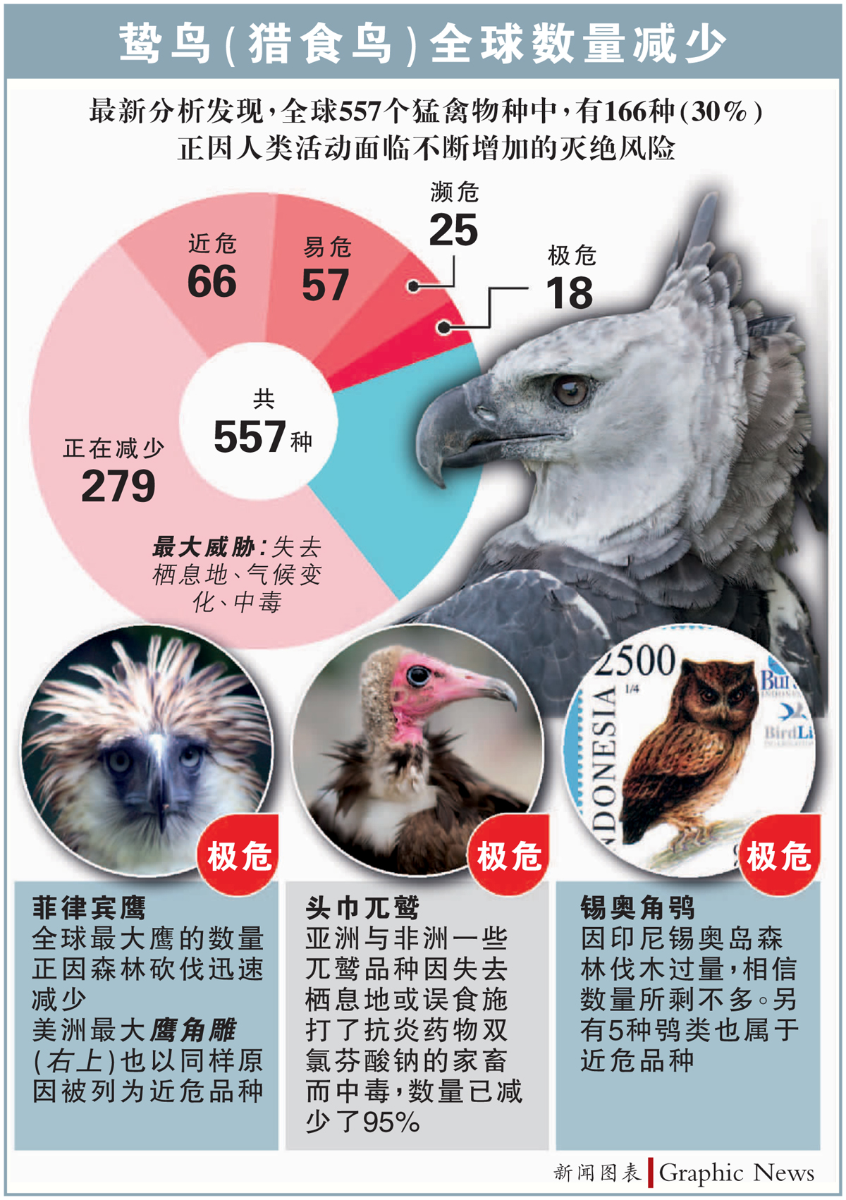 全球猛禽数量正减少 三成被认是濒危物种