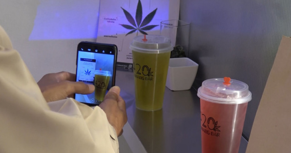 可藥用入菜製化妝品 泰擬建大麻產業鏈