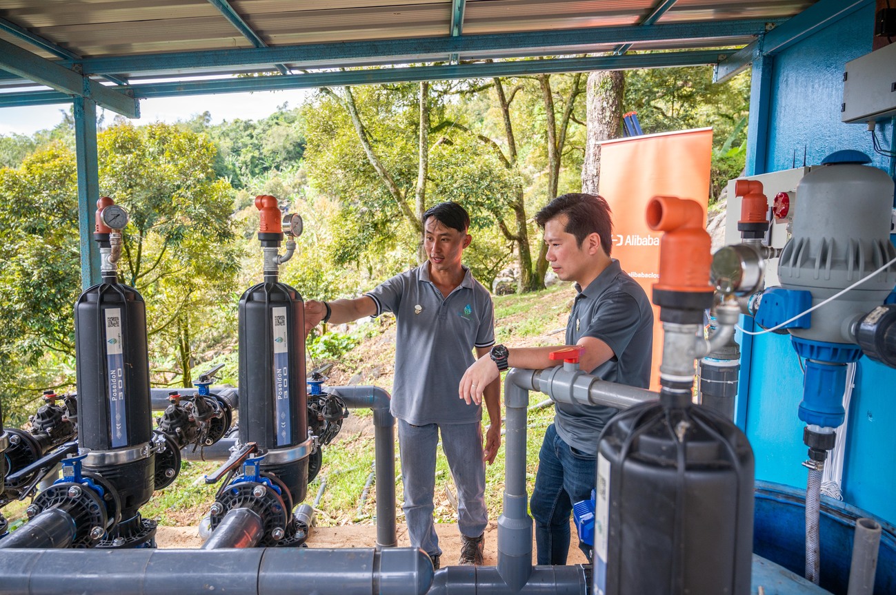 劳勿榴梿云物联网