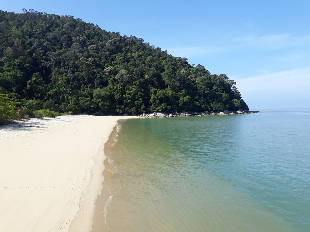 深度大马旅游/罗传钰博士