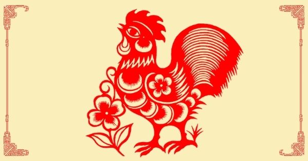 鸡
