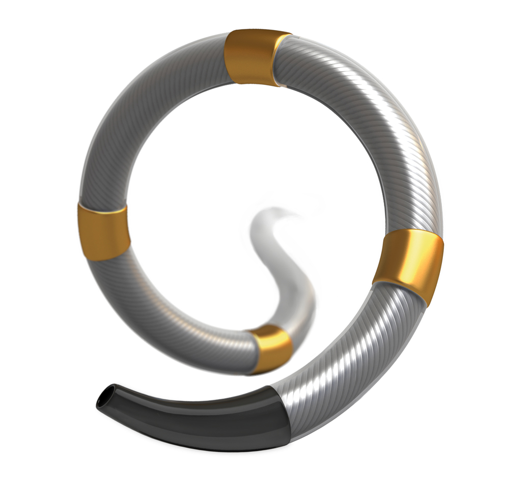 “高血壓導管”手術 Renal Denervation