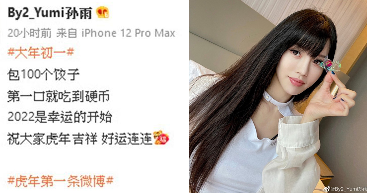 BY2,Yumi,王力宏,李靓蕾,包饺子,