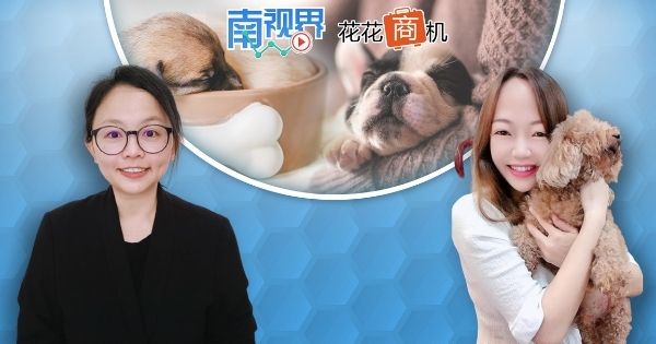 【南视界·花花商机】读懂宠物心思 宠物沟通师有特异功能?