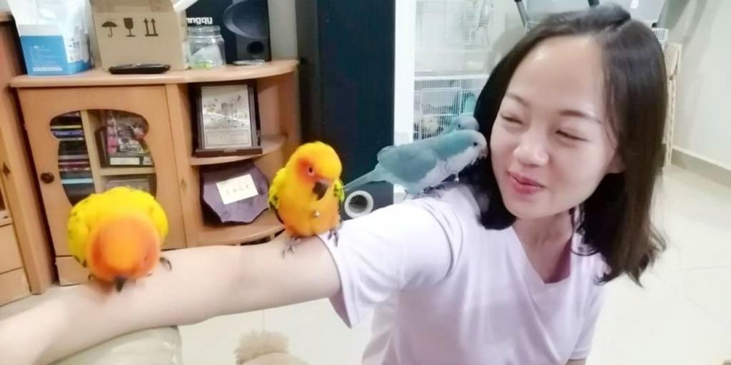 【独家】通过感应传递遗愿 沟通师读懂宠物心