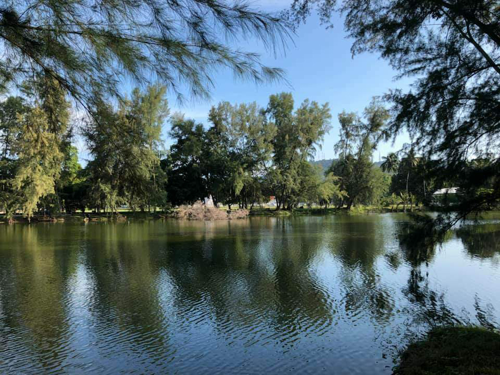 佳乐来公园的松林与湖倒影。