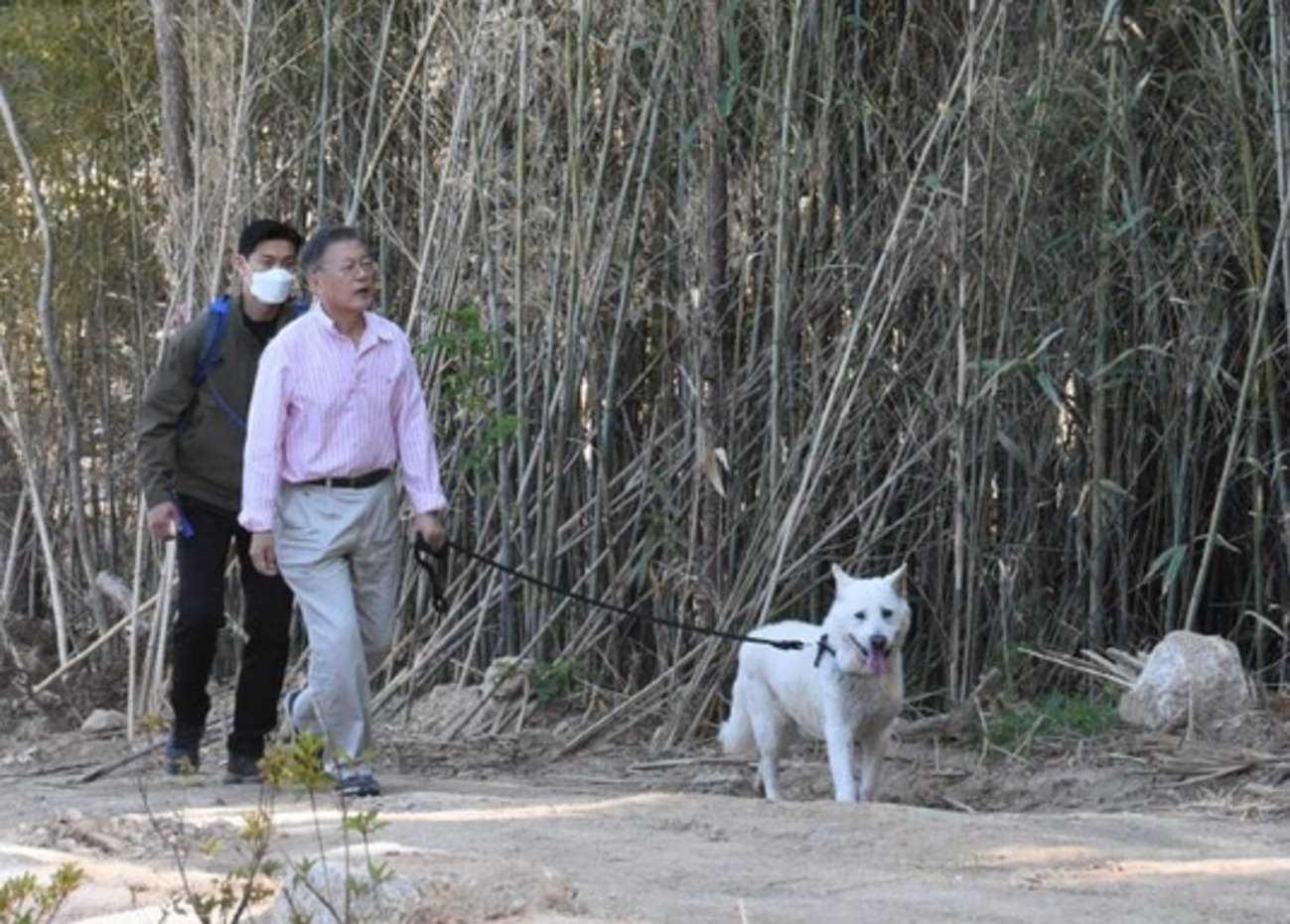 被示威者堵家门辱骂20天 文在寅忍无可忍报警