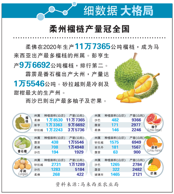 【细数据大格局】柔州榴梿产量冠全国