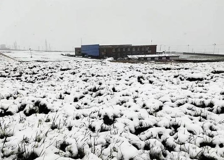 盛夏三伏天 青海六月飞雪
