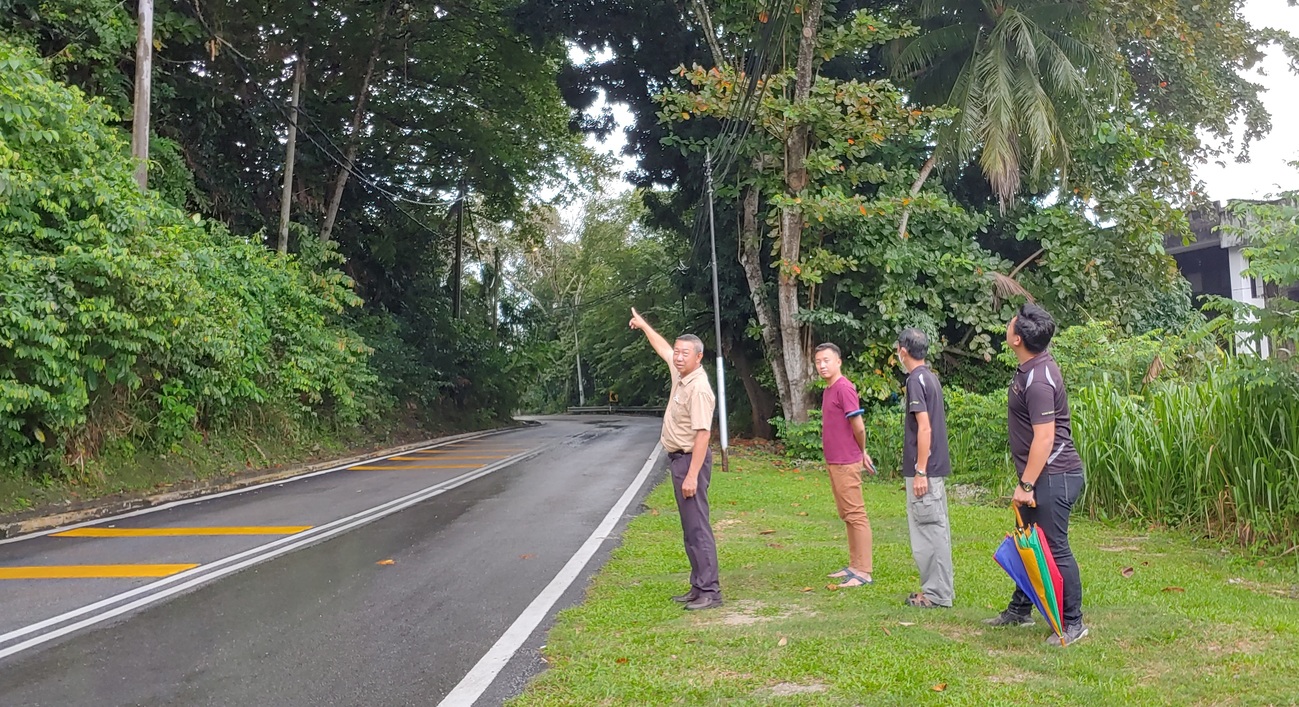 沉香區樹倒壓車頻傳 林國堅籲砍路邊大樹
