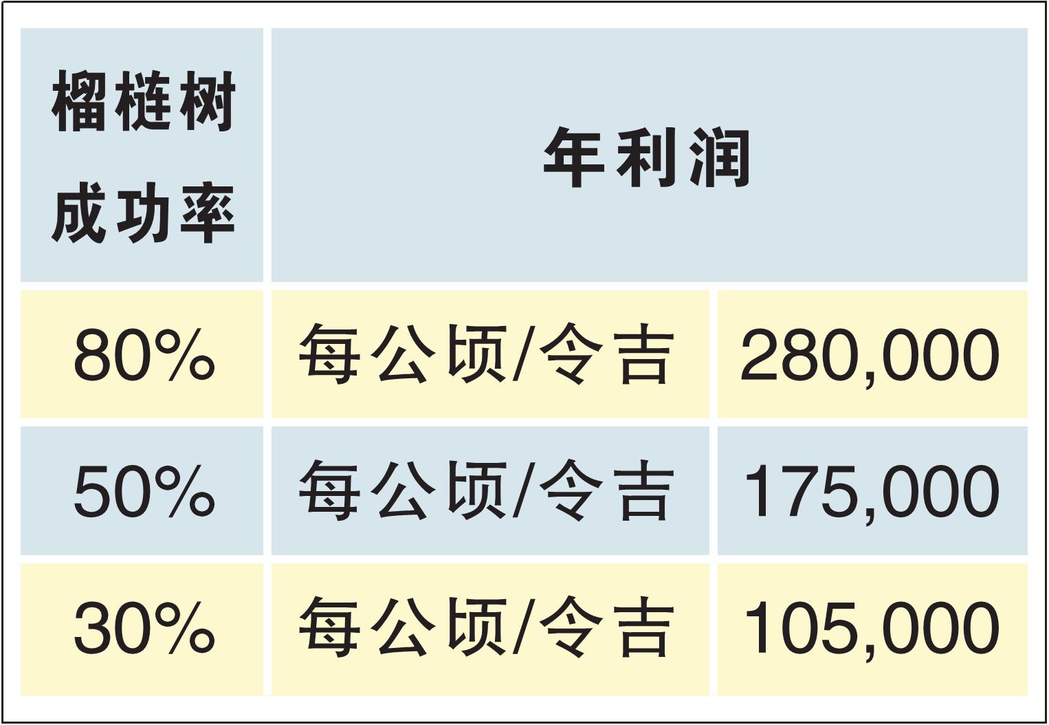 榴梿树 成功率与年利润 23/8/22