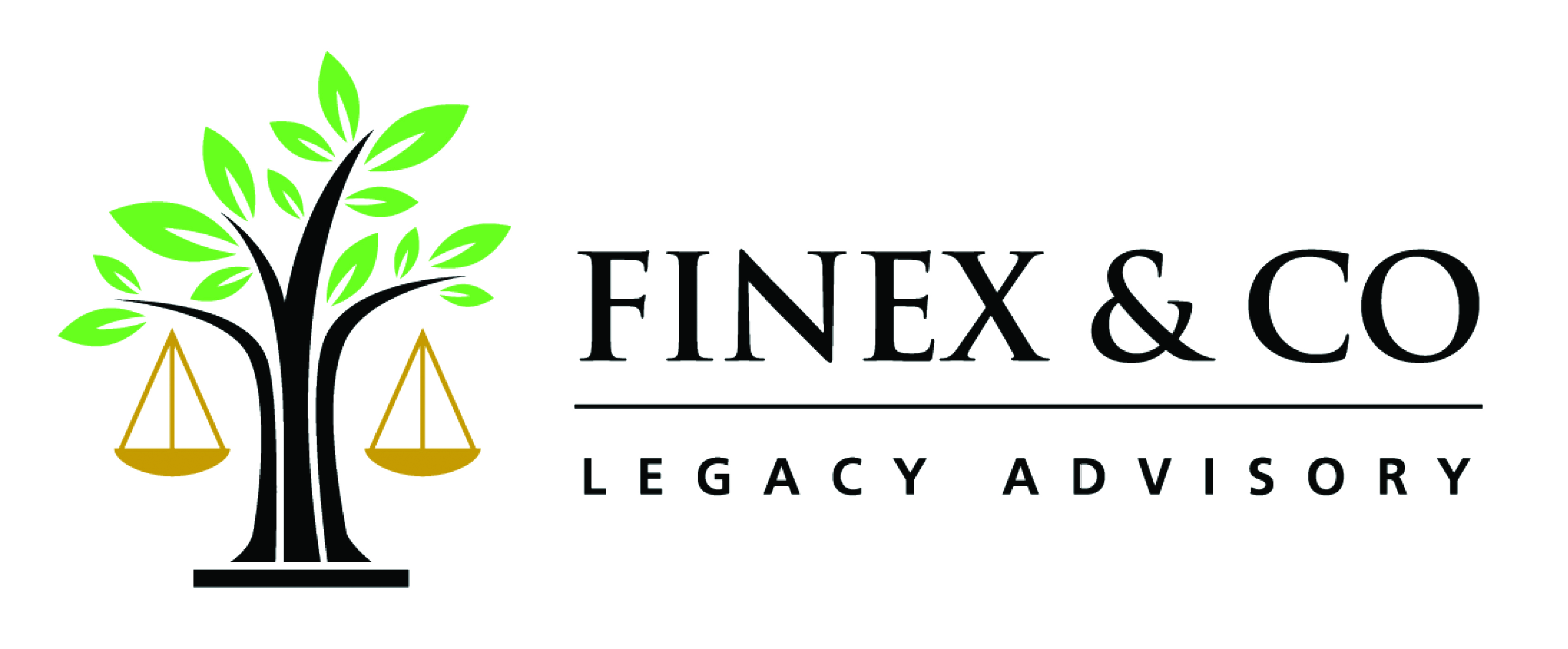 finexlogo