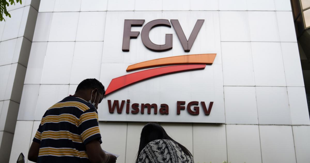 移民局:正处理人头税 未更新FGV外劳准证