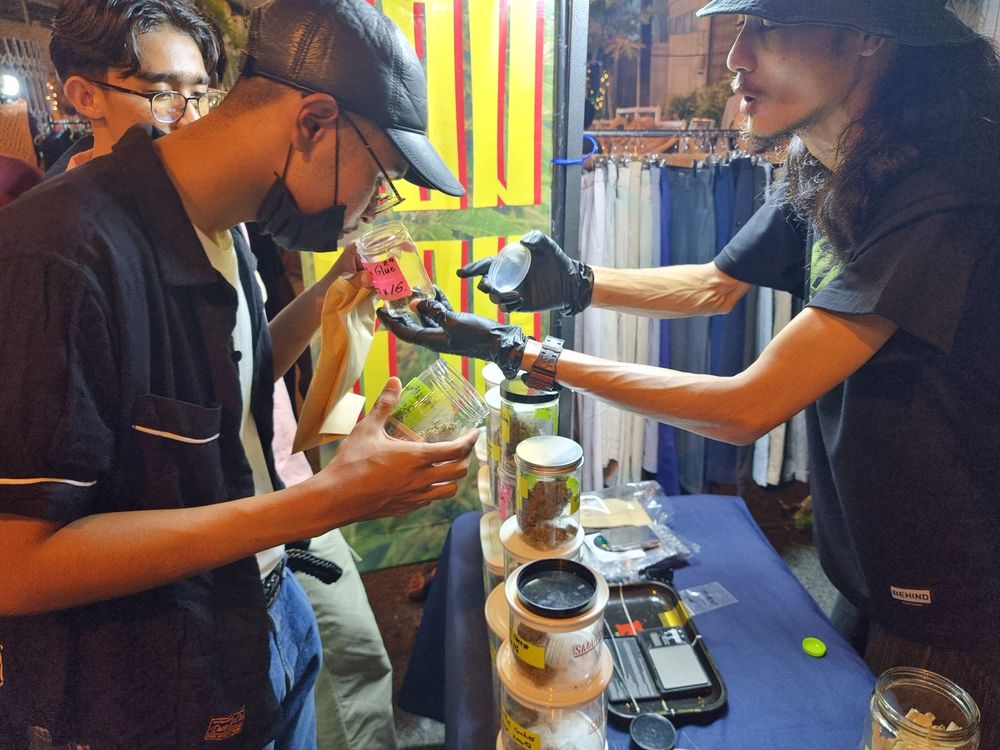 大麻经济 第三篇