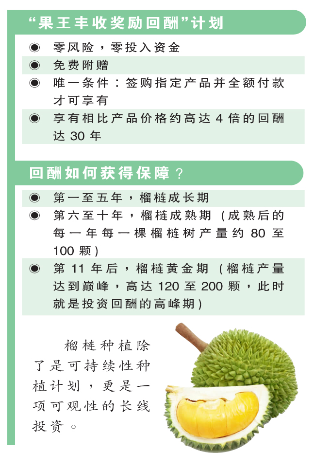 果王豐收獎勵回酬計劃