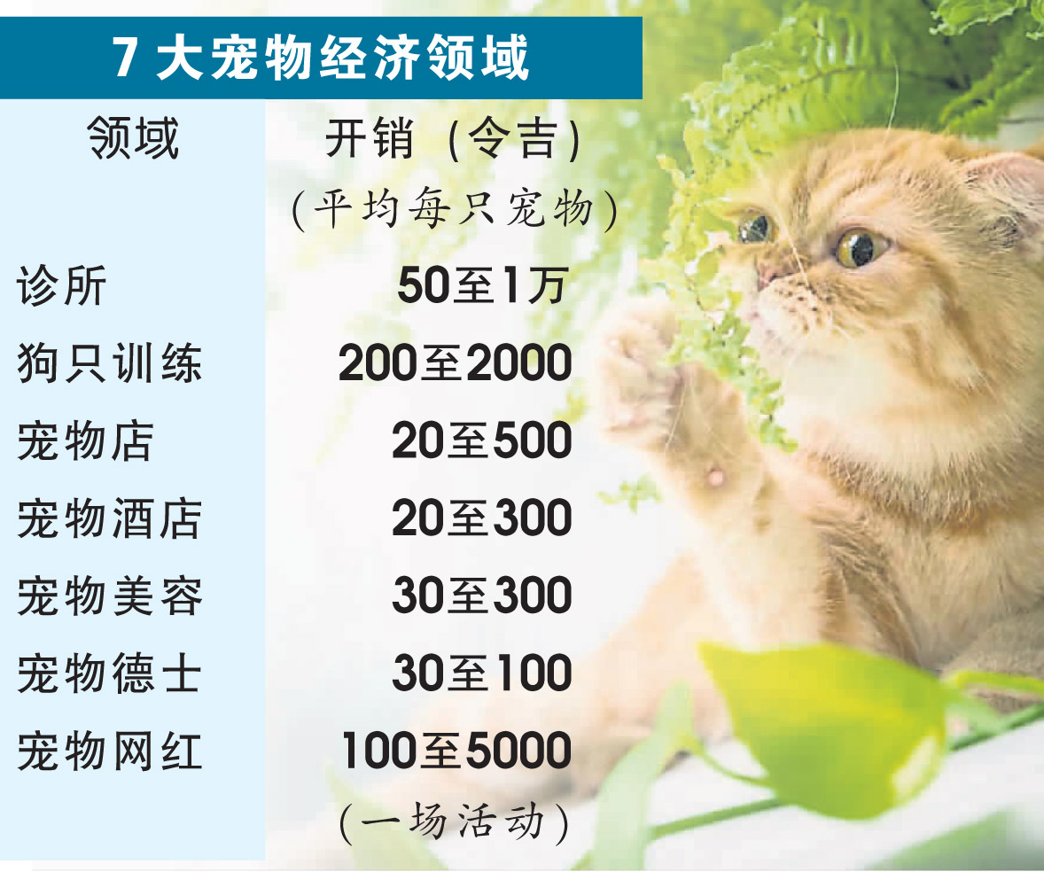 7大寵物經濟領域