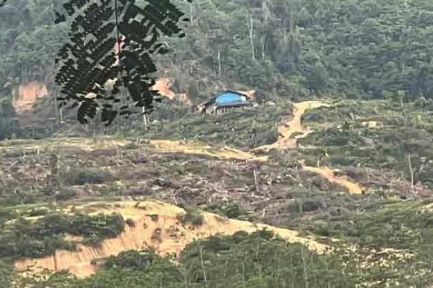 吉打欲森林保留地開采稀土 自然之友籲中央禁止