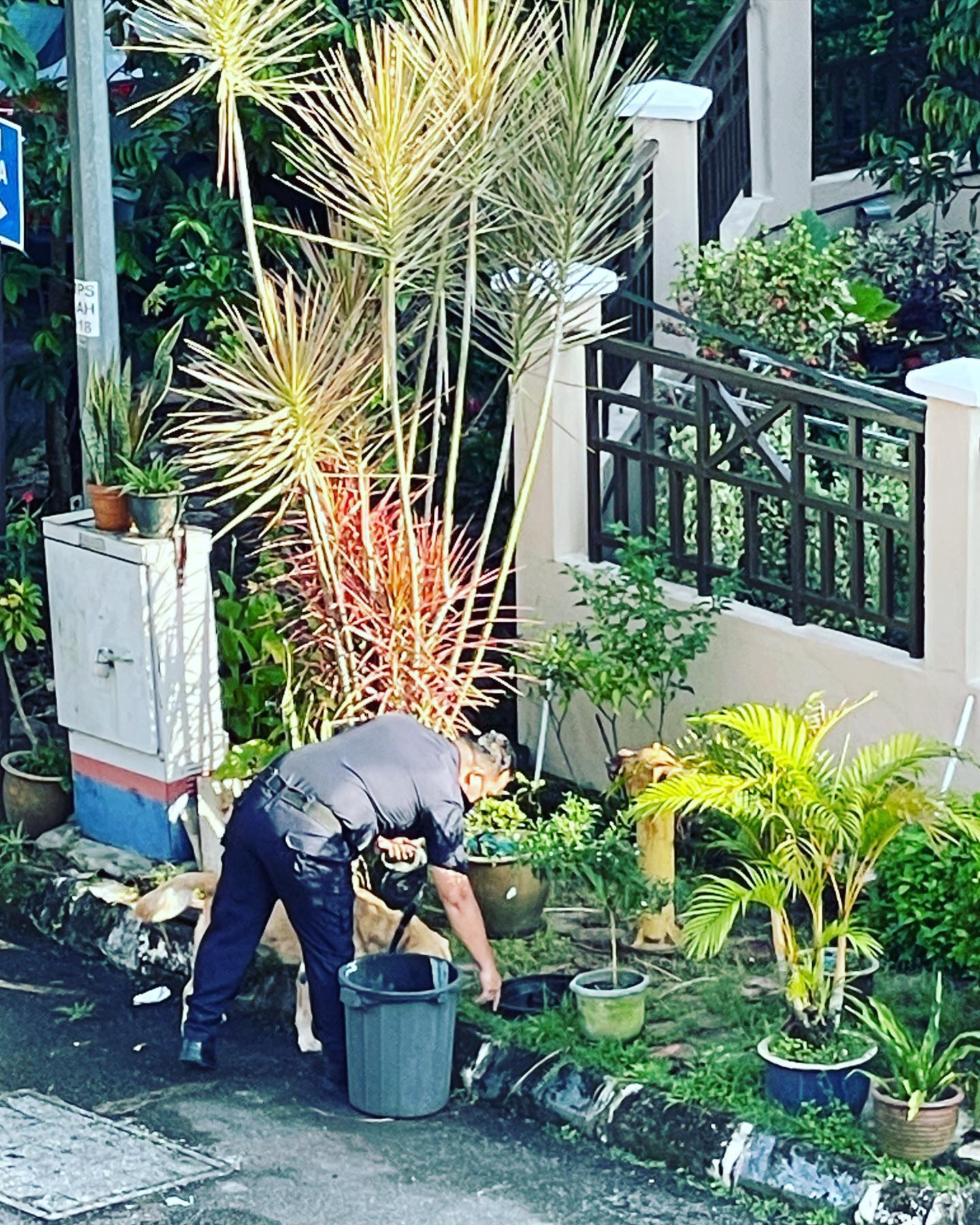 大头AKI住家枪击案 警方不排除打猎者所为