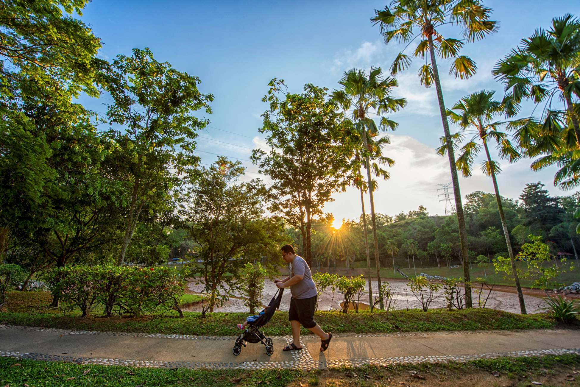 绿峰岭 Arden Hill