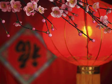 新年