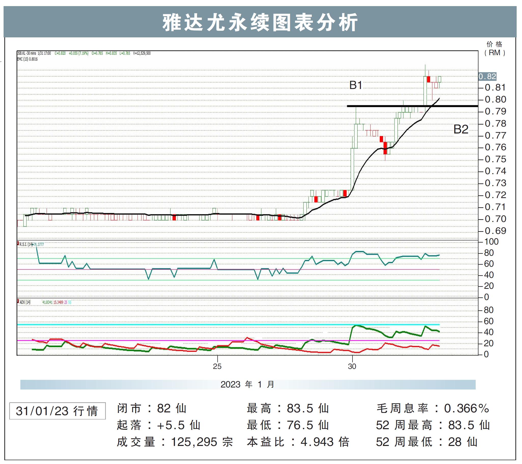雅达尤永续图表分析31/01/23