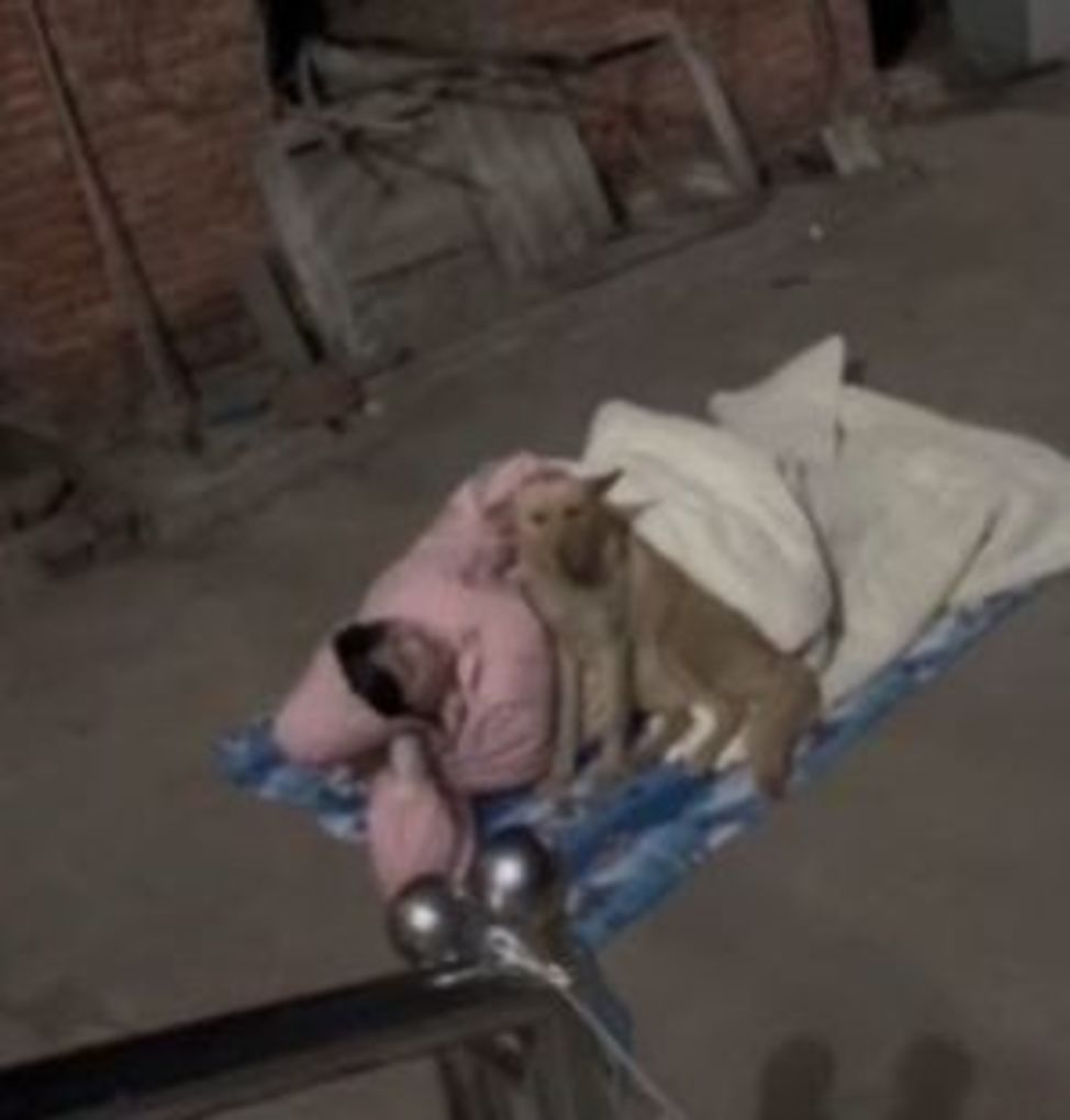 睡街