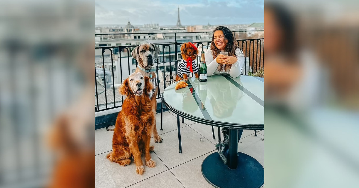 与10同好包机 美国夫妇携爱犬游全球